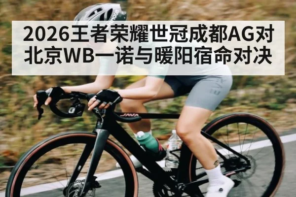 2026王者荣耀世冠成都AG对北京WB一诺与暖阳宿命对决