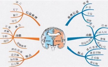 安博体育-麻省理工最新研究：父母多和娃聊天，能让大脑发育更好，更聪明
